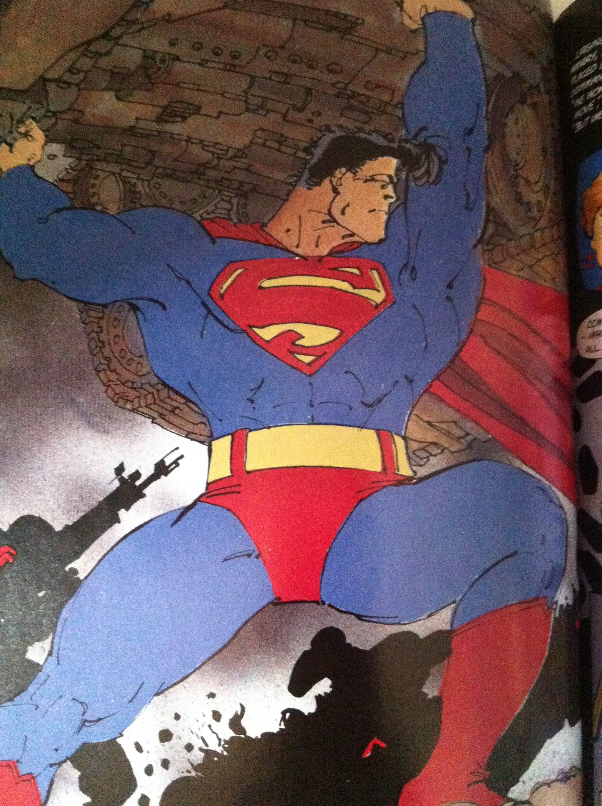 It’s a bird…It’s a plane…It’s Batman!